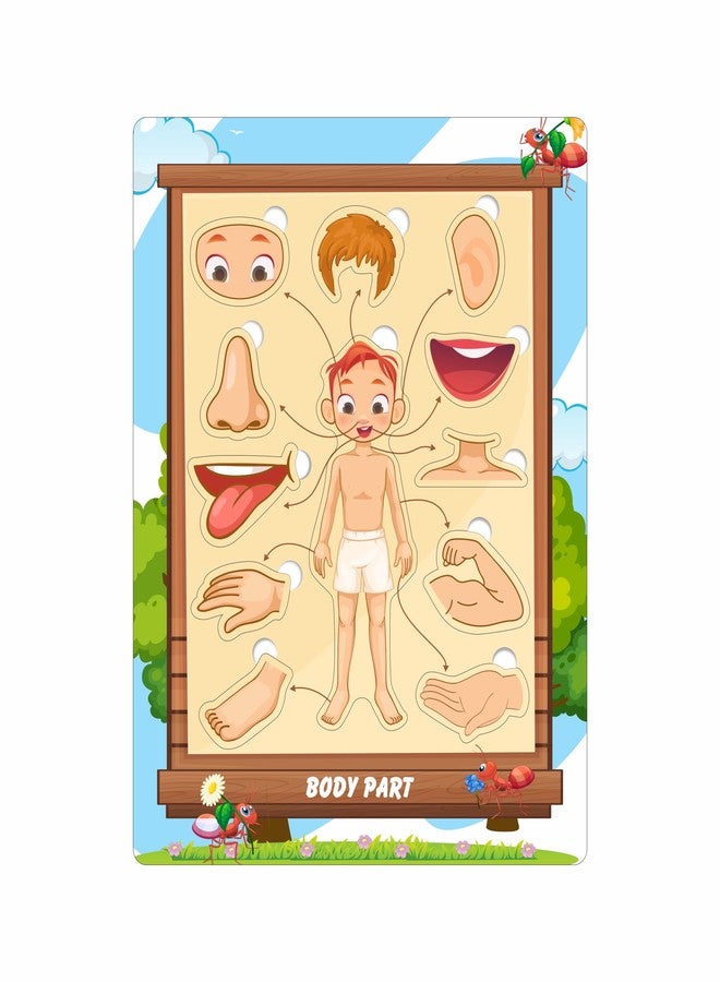 CRAFTICK Body Parts Puzzle Learning Toy for Kids | Pre-School Birthday|Return Gift Educational Board for Kids Set of 1 Multicolor - Image 2